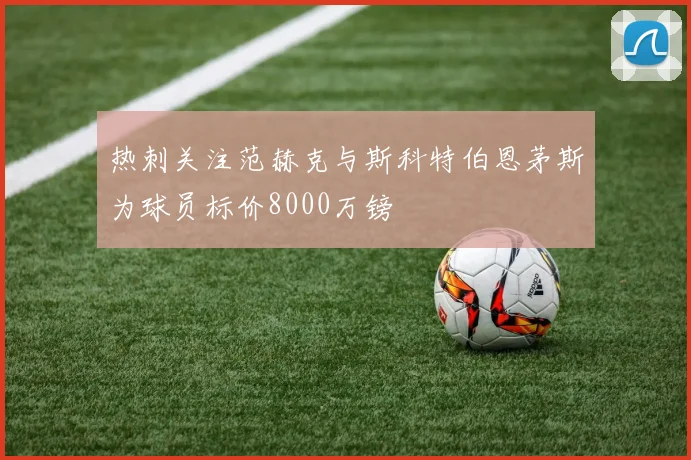 热刺关注范赫克与斯科特伯恩茅斯为球员标价8000万镑