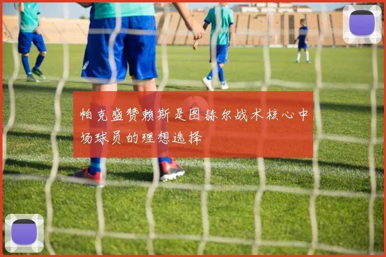 帕克盛赞赖斯是图赫尔战术核心中场球员的理想选择